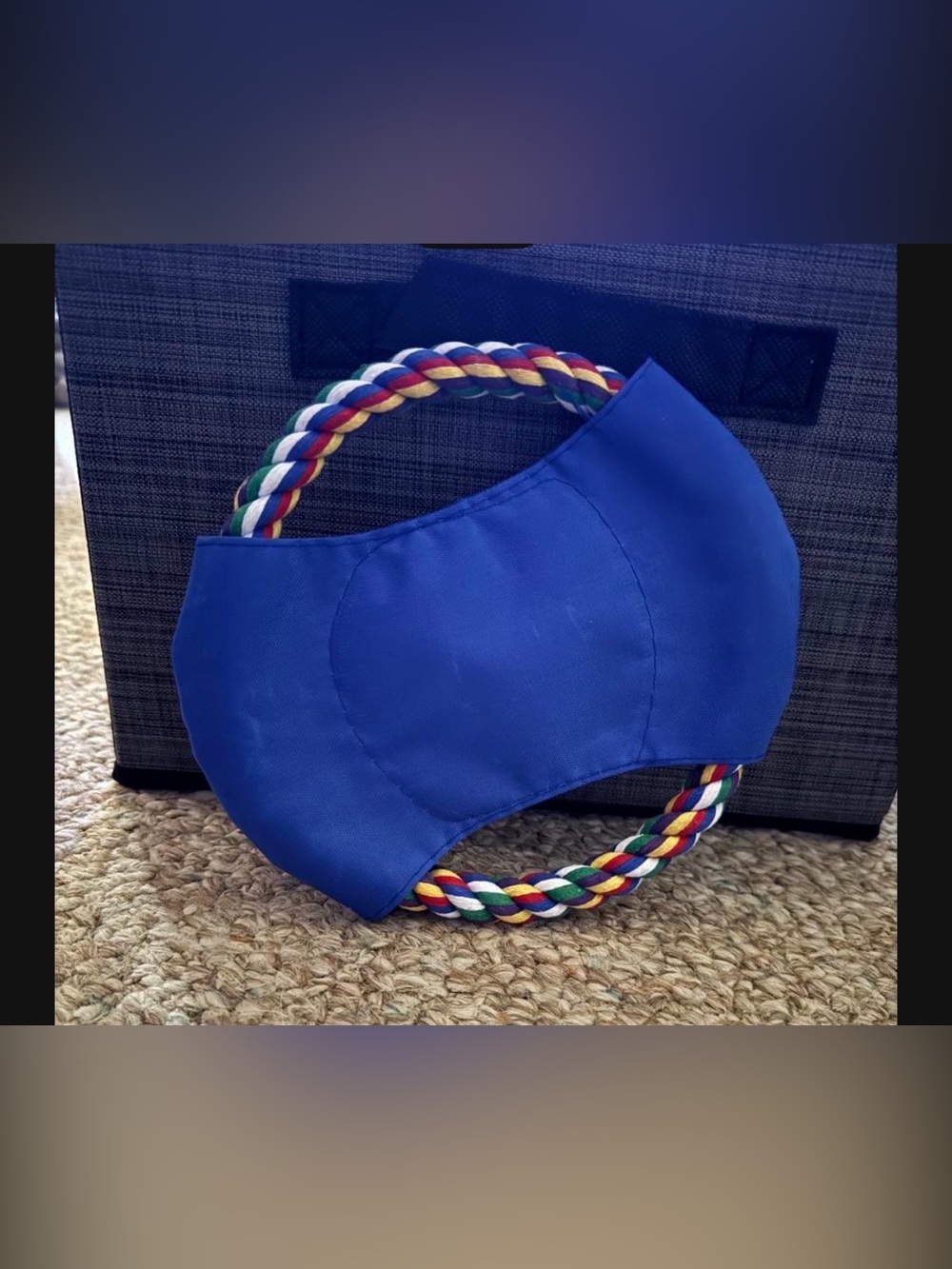 Dog Blue Rope Handle Toy - Unbranded